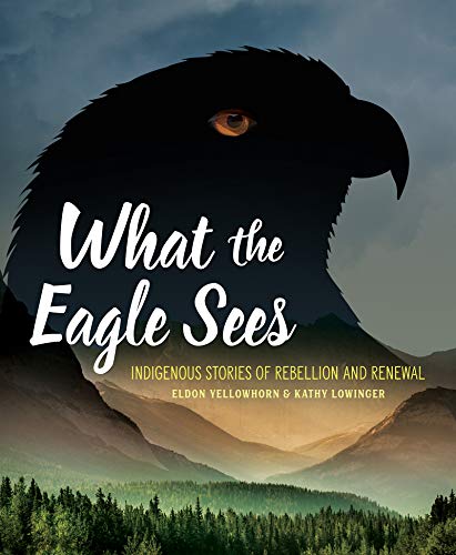 WHAT THE EAGLE SEES: INDIGENOUS STORIES OF REBELLION AND By Eldon Yellowhorn
