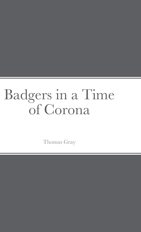 Badgers in a Time of Corona by Thomas Gray