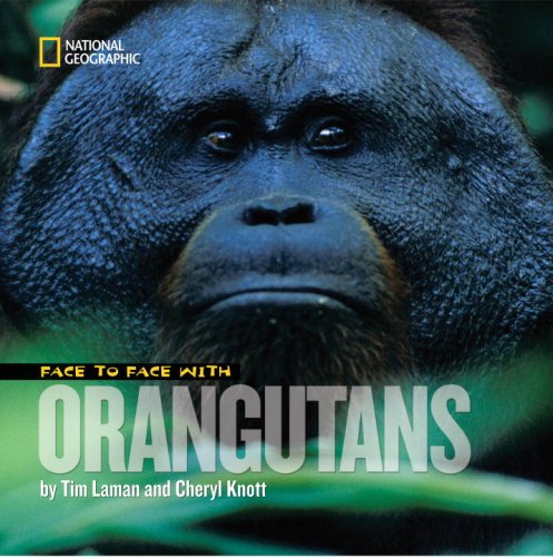 Face to Face With Orangutans by Tim Laman