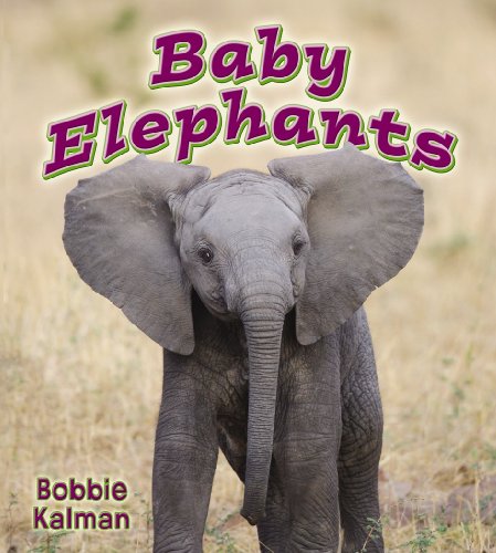 Baby Elephants by Bobbie Kalman