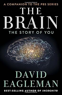 The Brain: The Story of You
