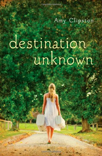 Destination Unknown by Amy Clipston