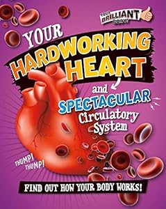 Your Hardworking Heart and Spectacular Circulatory System