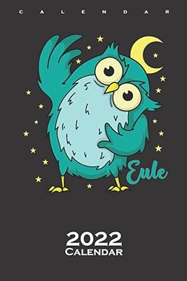 Owl greets sleeping Type Nocturnal Moon Asterisk Calendar 2022: Annual Calendar for Early or late Riser