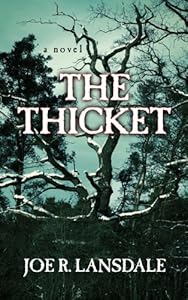 The Thicket by Joe R. Lansdale