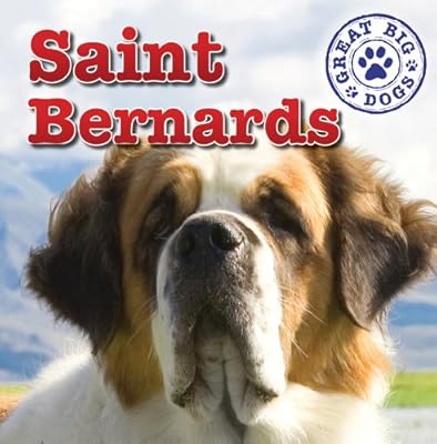 Saint Bernards