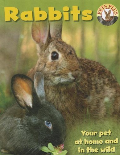 Rabbits by Sally Morgan