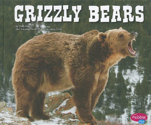 Grizzly Bears by Molly Kolpin