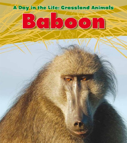 Baboon by Louise Spilsbury
