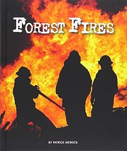 Forest Fires by Patrick Merrick