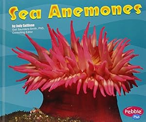 Sea Anemones (Under the Sea (Capstone Library))