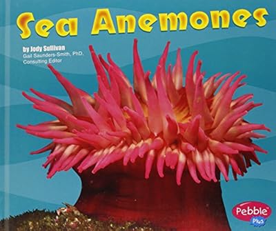 Sea Anemones (Under the Sea (Capstone Library))
