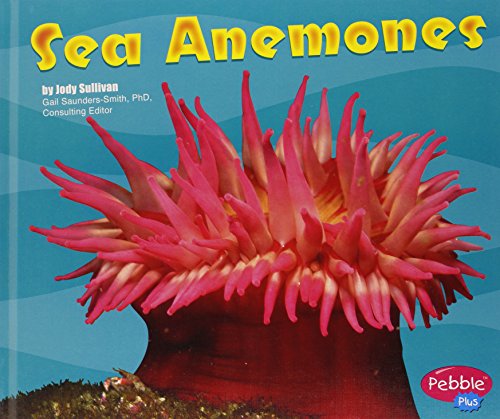 Sea Anemones (Under the Sea (Capstone Library)) by Gail Saunders-Smith