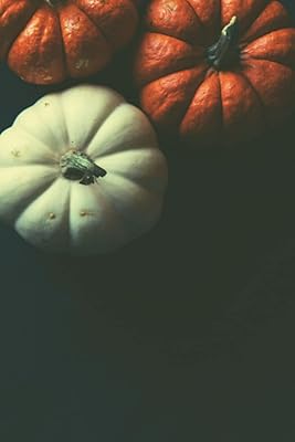 Pumpkin Patch Journal