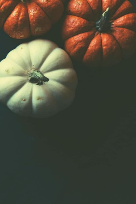 Pumpkin Patch Journal by Juliane Mille
