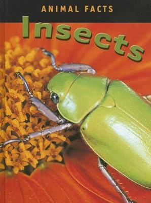 Insects (Animal Facts)