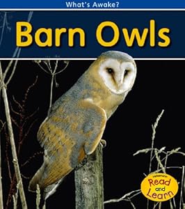 Barn Owls