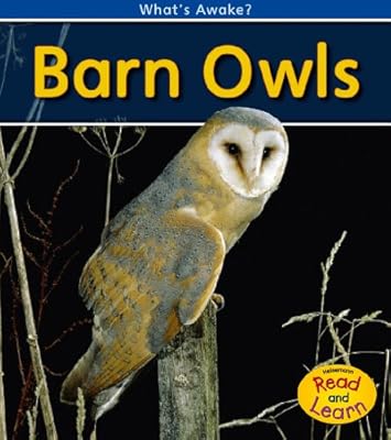 Barn Owls