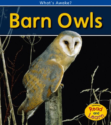 Barn Owls by Patricia Whitehouse