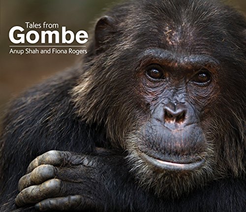 Tales From Gombe by Anup Shah 
			
			
		
		
		
       	 
       		
       			,