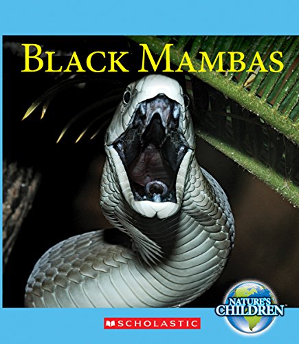 Black Mambas by Vicky Franchino