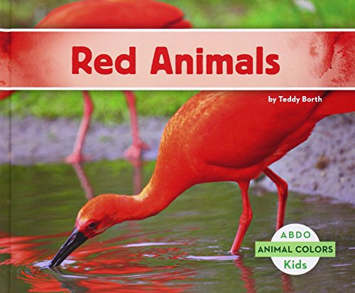 Red Animals by Teddy Borth
