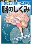 脳のしくみ―脳の基本構造から記憶のあり方まで (主婦の友ベストＢＯＯＫＳ)