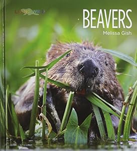 Beavers by Melissa Gish