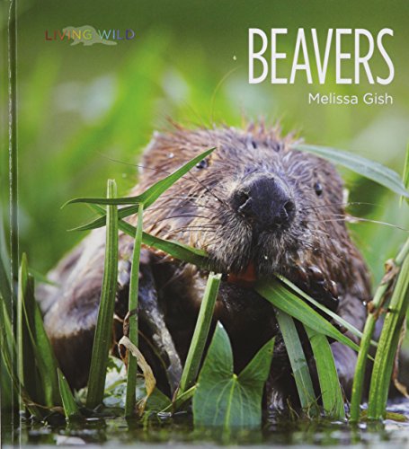 Beavers by Melissa Gish