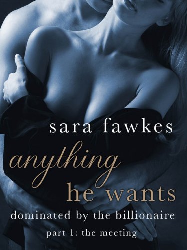 Anything He Wants: The Meeting by Sara Fawkes