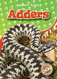 Adders