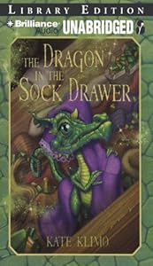 The Dragon in the Sock Drawer