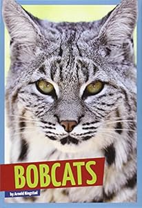 Bobcats