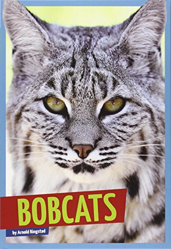 Bobcats by Arnold Ringstad