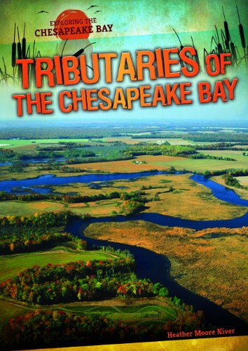 Tributaries of the Chesapeake Bay by Heather Moore Niver