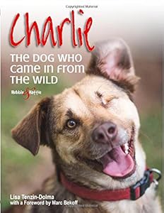 Charlie: The dog who came in from the wild