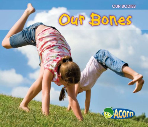 Our Bones by Charlotte Guillain