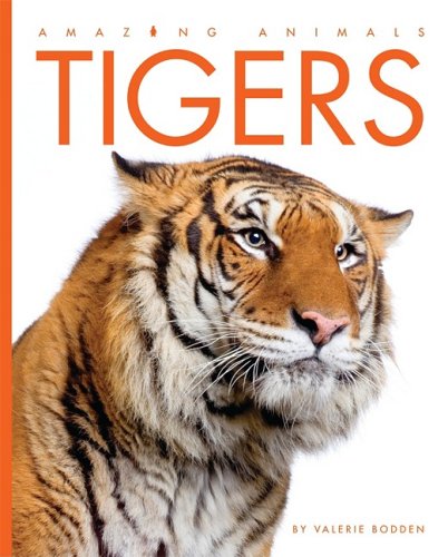 Tigers (Amazing Animals (Creative Education Hardcover)) by Valerie Bodden