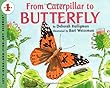 From Caterpillar to Butterfly