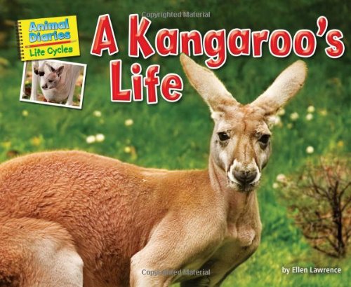 A Kangaroo's Life by Ellen Lawrence