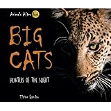 Big Cats