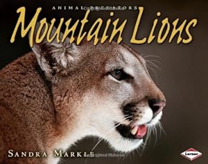 Mountain Lions