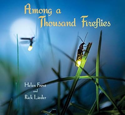 Among a Thousand Fireflies