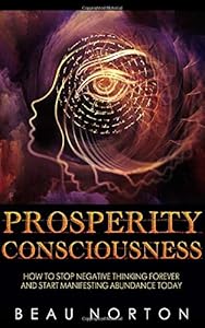 Prosperity Consciousness: How to Stop Negative Thinking Forever and Start Manifesting Abundance Today by Beau Norton