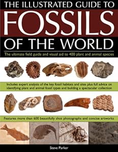 An Illustrated Guide to the Fossils of the World: A full-color directory and identification aid to over 250 plant and animal fossils, with 600 clear ... and artworks