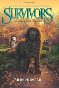 Survivors #3: Darkness Falls