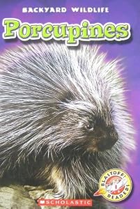 Porcupines (Blastoff! Readers: Backyard Wildlife- Level 1)