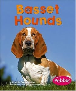 Basset Hounds (Dogs (Pebble))