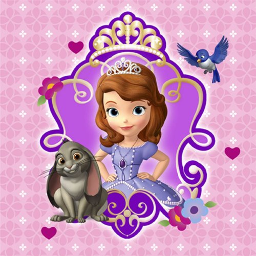 Disney Junior Sofia the First Beverage Napkins (16)