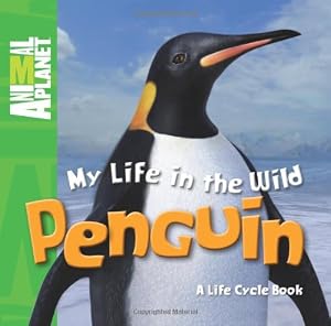 My Life in the Wild: Penguin